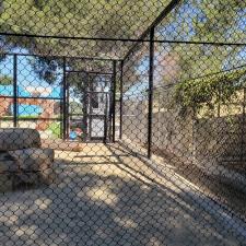 New lion enclosure construction moorpark ca (27)